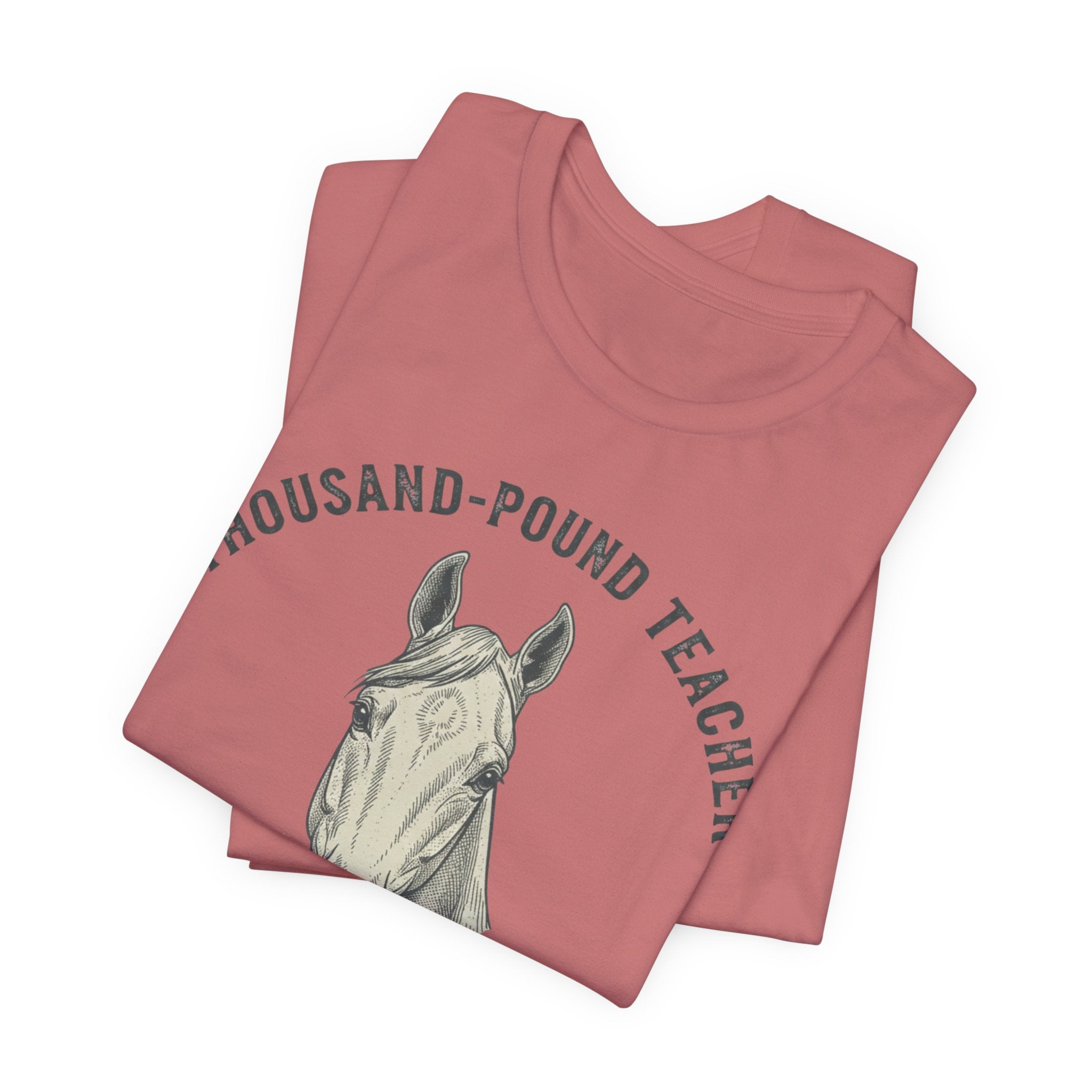 Thousand Pound Teacher, Humbled Daily